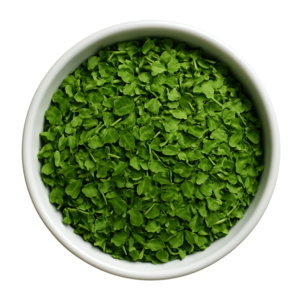 Premium Dried Moringa Leaves - Natural Superfood Powder