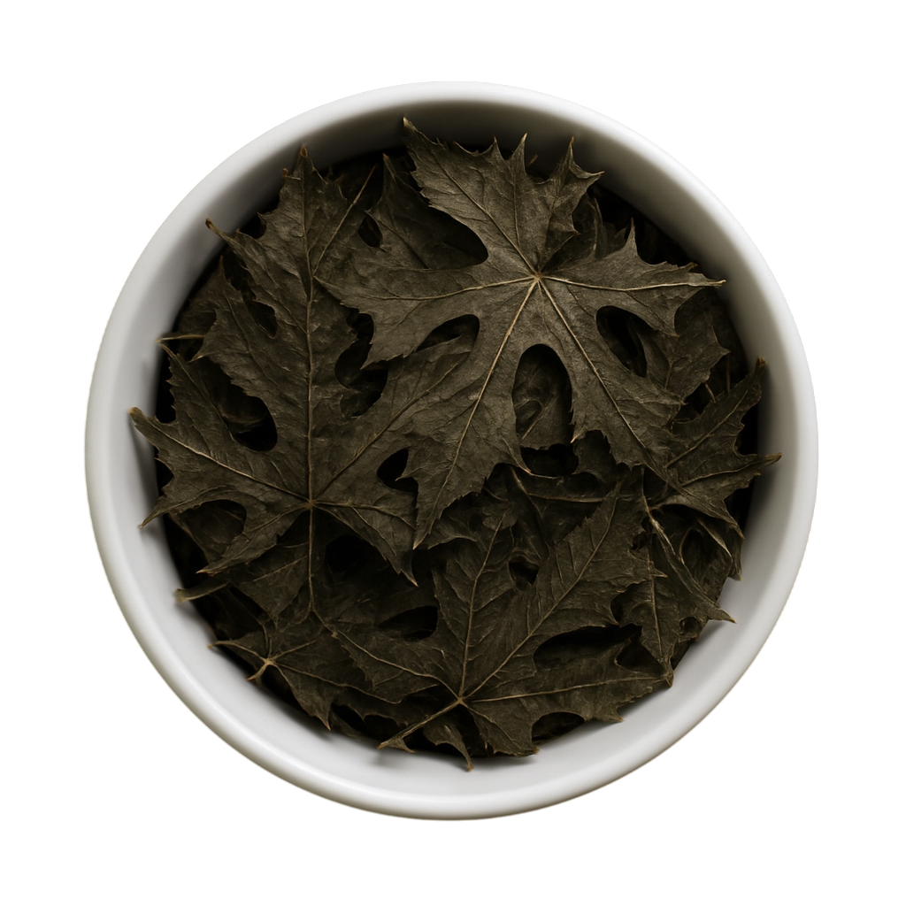 Premium Dried Chaya Leaves (Mayan Spinach) - Ancient Superfood & Traditional Herbal Tea