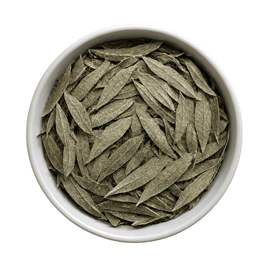 Premium Dried Eucalyptus Leaves - Natural Respiratory Support & Traditional Herbal Medicine