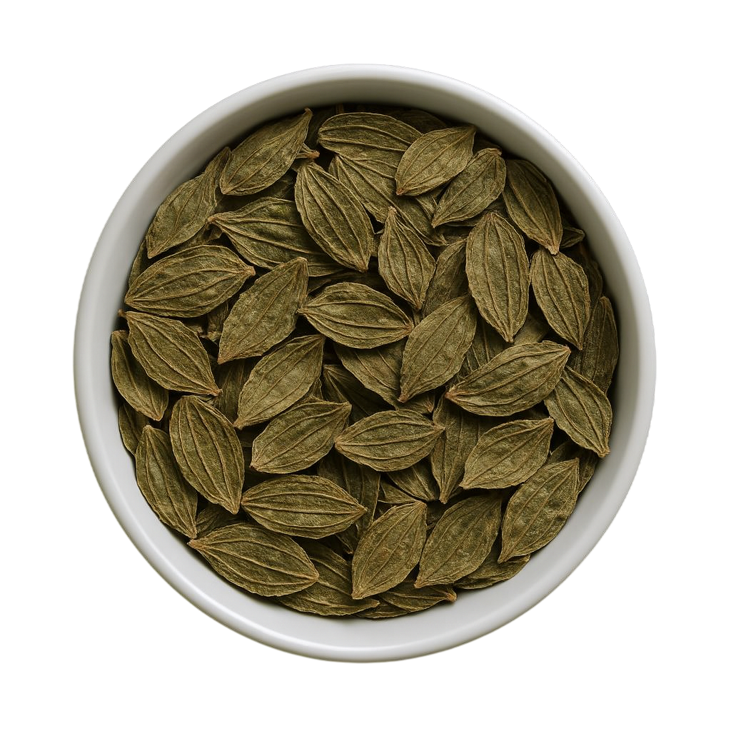 Premium Dried Plantain Leaves (Medicinal) - Traditional Healing Herb & Natural Wound Care