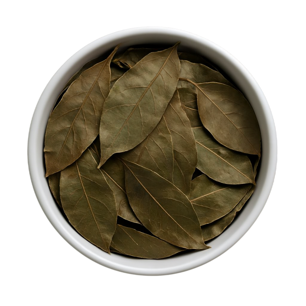 Premium Dried Mango Leaves - Traditional Wellness Tea & Natural Health Support