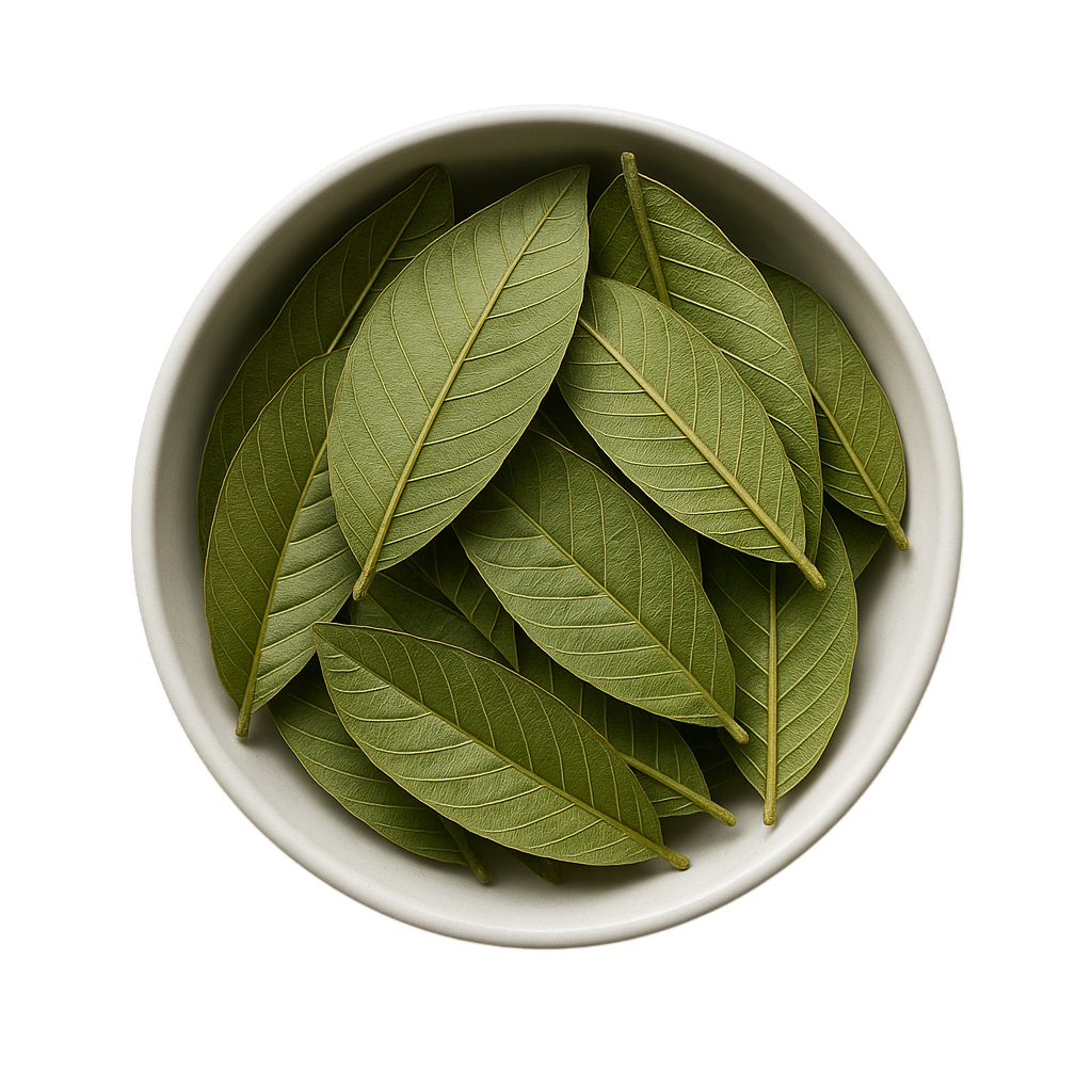 Premium Dried Guava Leaves - Natural Medicinal Tea