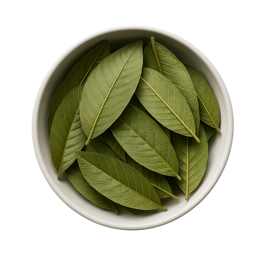 Premium Dried Guava Leaves - Natural Medicinal Tea