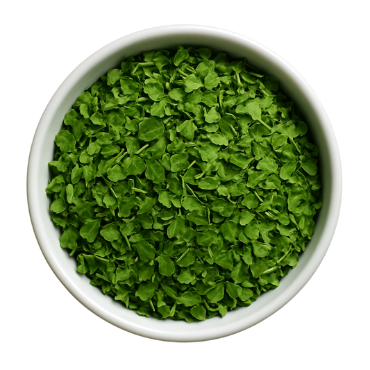 Premium Dried Moringa Leaves - Natural Superfood Powder