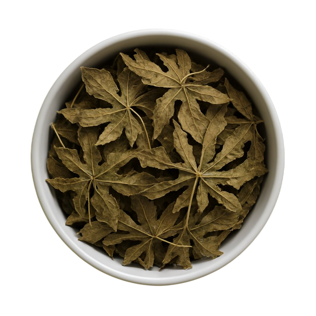 Premium Dried Papaya Leaves - Traditional Digestive Support & Natural Wellness Tea