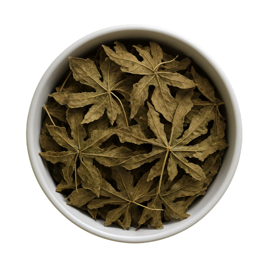Premium Dried Papaya Leaves - Traditional Digestive Support & Natural Wellness Tea