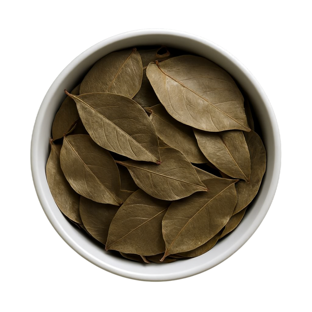 Premium Dried Soursop Leaves - Natural Herbal Tea & Wellness Powder